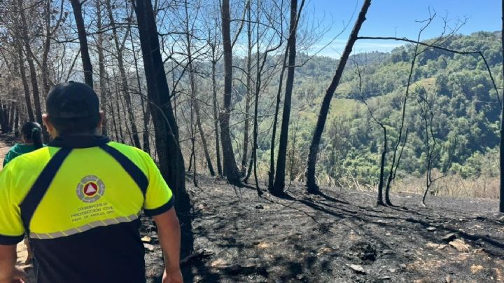 Incendios forestales: así el recuento de los daños tras 27 siniestros en Querétaro