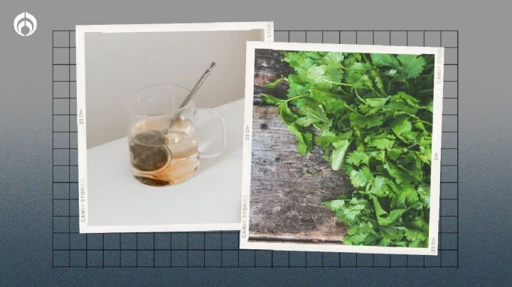 Agua de cilantro: cómo prepararla y TODOS los beneficios que aporta a tu salud