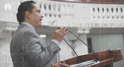 Celebra Partido Verde las reformas de bienestar animal aprobadas en la CDMX