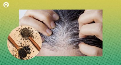 Mezcla casera con 4 ingredientes para oscurecer las canas en instantes