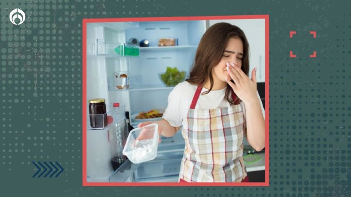 El ingrediente casero para eliminar el mal olor del refrigerador sin lavarlo