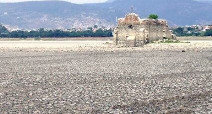 Enfrentan presas de Guanajuato sequía extrema; hogares y agricultura los más afectados