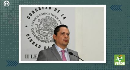 Diputados del PVEM-CDMX proponen establecer una ‘Ley de Responsabilidad Ambiental’