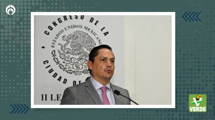 Diputados del PVEM-CDMX proponen establecer una ‘Ley de Responsabilidad Ambiental’