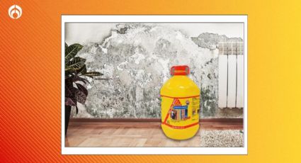 Coppel rebaja eliminador de salitre Sika de 5L, ¡no más moho ni humedad en casa!