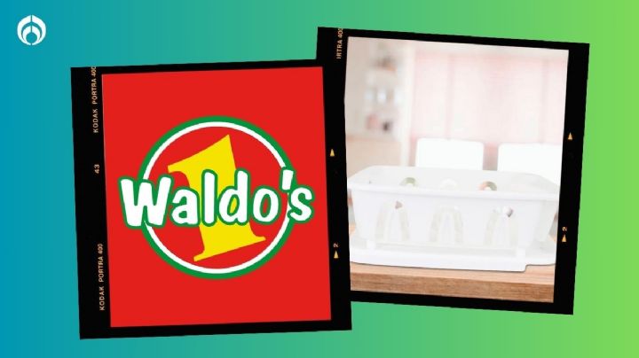 Waldo's vende un escurridor de trastes por menos de 100 pesos y excelente calidad