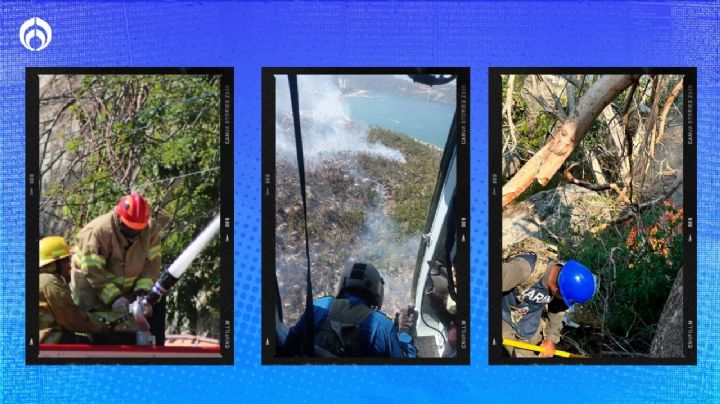 Incendios en Acapulco: suman 45 hectáreas afectadas; el fuego no cede por completo