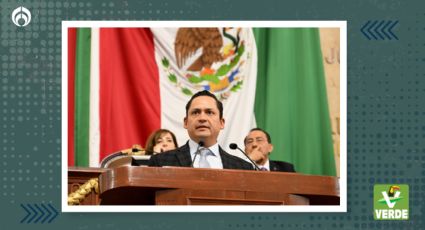 Diputados PVEM-CDMX celebran la actualización de la Ley de Protección a los Animales