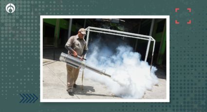 Alerta sanitaria en Oaxaca por primer caso de zika: Te contamos cómo se transmite