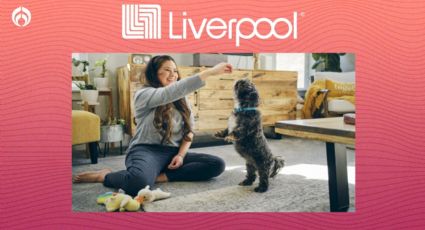 Liverpool: beneficios, planes y costos del seguro para mascotas