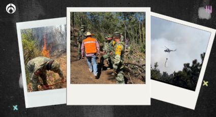 Así es como el gobierno del Edomex combate y sofoca los incendios forestales