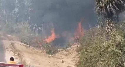 Fuego por todos lados: Se registra incendio en Pueblo Mágico de El Palmar en La Paz