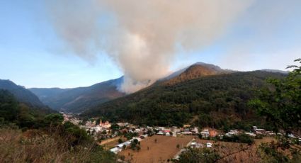 (VIDEO) Captan incendio forestal en Veracruz; siniestro esta controlado pero aún da batalla