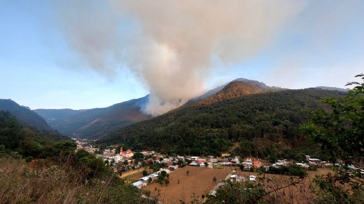 (VIDEO) Captan incendio forestal en Veracruz; siniestro esta controlado pero aún da batalla