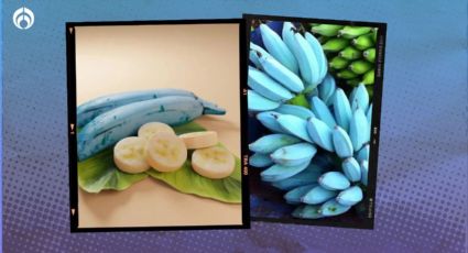 Plátanos azules: ¿a qué saben y de dónde es originaria esta extraña fruta?