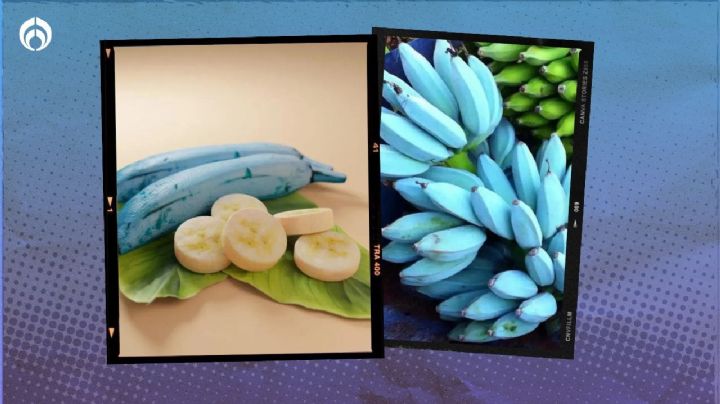 Plátanos azules: ¿a qué saben y de dónde es originaria esta extraña fruta?