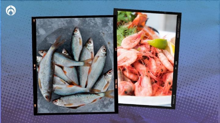 El secreto para que el pescado y mariscos no se echen a perder tan rápido