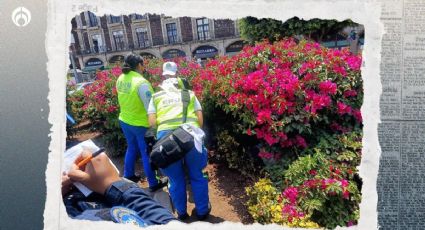 Hallan cadáver de un hombre de 60 años oculto en jardinera del Zócalo de CDMX