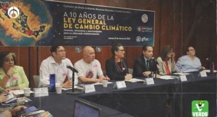 En el Senado, el Partido Verde pide reforzar el combate al cambio climático