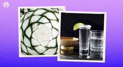 Feria del Mezcal en la CDMX: ¿Dónde y cuándo será la fiesta a este bebida y otros manjares?