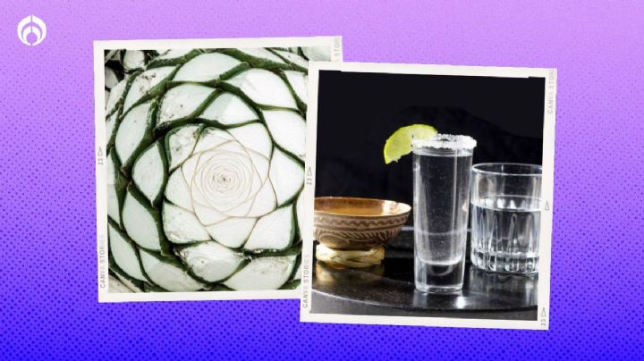 Feria del Mezcal en la CDMX: ¿Dónde y cuándo será la fiesta a este bebida y otros manjares?