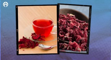 Té de Jamaica: ¿Cómo prepararlo y cuáles son sus beneficios a la salud?