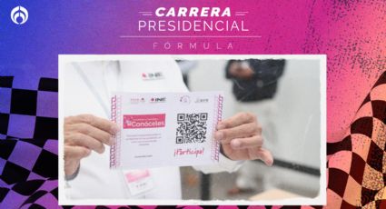 Voto extranjero: mexicanos rechazados acusan que INE no les explicó anomalía en registro