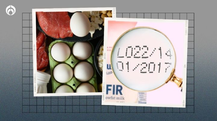 5 alimentos que NUNCA debes consumir después de la fecha de caducidad