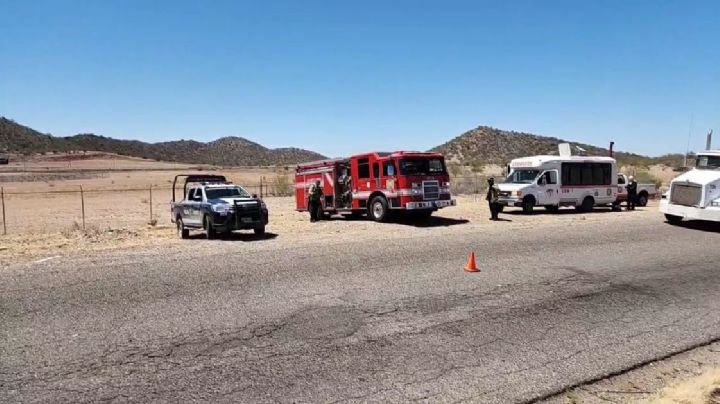 Investigan presunto desplome de avioneta al norte de Hermosillo