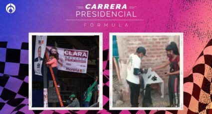 ¿Harto de la propaganda electoral? Así la puedes utilizar para casas de lomitos