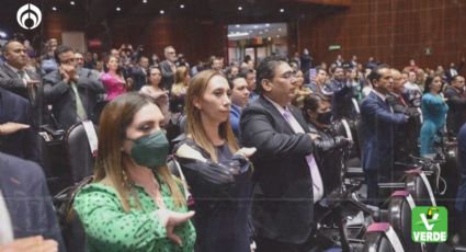 PVEM urgió a implementar medidas para cuidar la salud de trabajadores