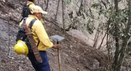 Sofocan incendio en Veracruz; 70 hectáreas fueron afectadas por el fuego