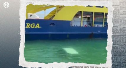 ¿Hiciste un pedido y todavía no llega? Camioneta de paquetería cae al mar en Cancún (VIDEO)