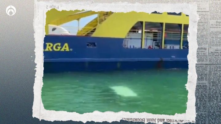 ¿Hiciste un pedido y todavía no llega? Camioneta de paquetería cae al mar en Cancún (VIDEO)