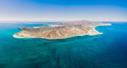 ¿BCS se queda sin peces? Biólogos exigen protección del Archipiélago de Espíritu Santo