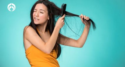 Los mejores cepillos para desenredar el cabello ¡sin jalones y sin nudos!