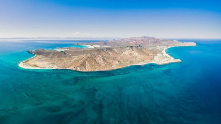 ¿BCS se queda sin peces? Biólogos exigen protección del Archipiélago de Espíritu Santo