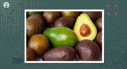 ¿Los aguacates se lavan? Estos son los riesgos de no hacerlo