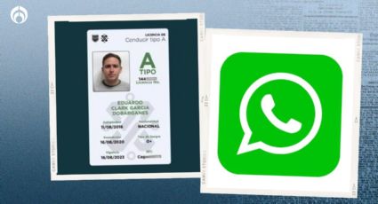 ¿Cómo renovar la licencia de conducir por WhatsApp en menos de 1 minuto?