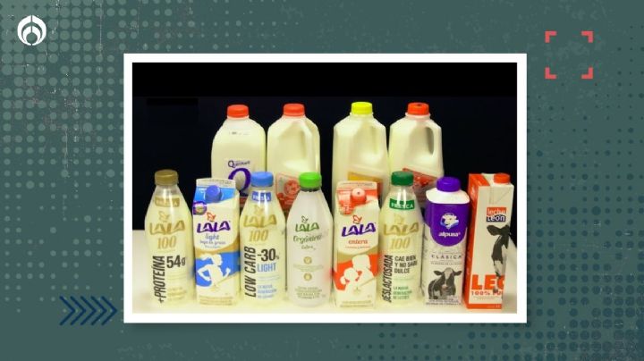 ¿Cuál es la mejor leche según Profeco? Esto dice un estudio