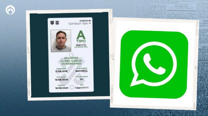 ¿Cómo renovar la licencia de conducir por WhatsApp en menos de 1 minuto?