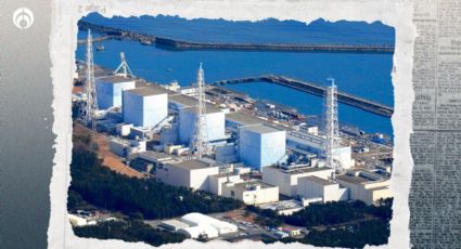 Terremoto de magnitud 6 afecta Fukushima, epicentro de un desastre nuclear en 2011