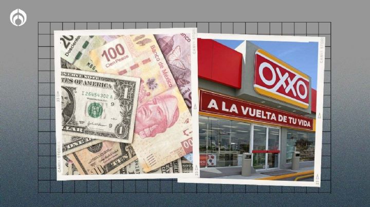 Cambian dólares en Oxxo: ¿cuáles son los requisitos para realizar la transacción?