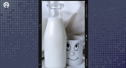 ¿Cuál es la leche con mas proteínas en México? Esto dice Profeco