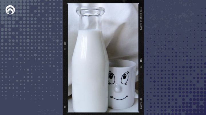 ¿Cuál es la leche con mas proteínas en México? Esto dice Profeco