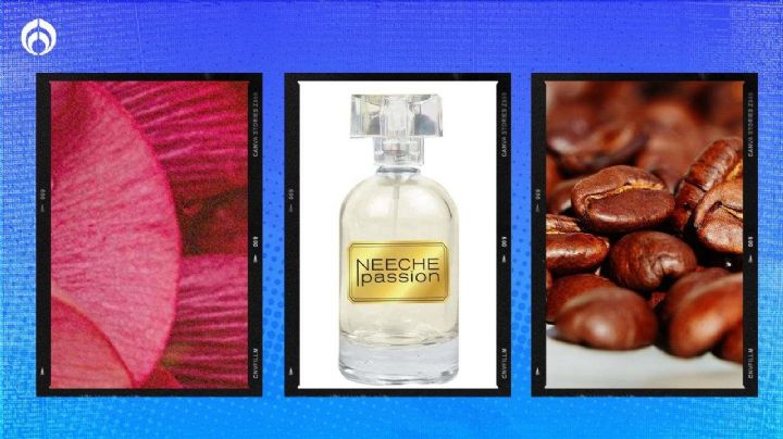 Fraiche: este es el perfume de nicho que huele a café; ¿dónde comprarlo?