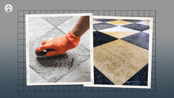 El truco para limpiar el azulejo del piso y dejarlo brillando por más tiempo