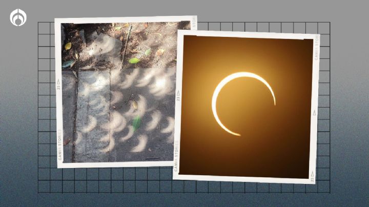 Eclipse solar 2024: ¿No conseguiste lentes? Así puedes verlo indirectamente y sin usar filtros