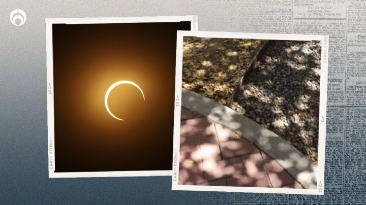 Eclipse solar 2024: ¿qué es el efecto pinhole, para ver el fenómeno en la palma de tu mano?