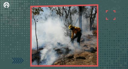 Esta es la nueva estrategia que se empleará en el Edomex para combatir incendios